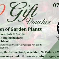 Capel Gift Vouchers - 20