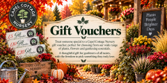 Gift Vouchers