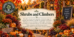 Shrubs and Climbers